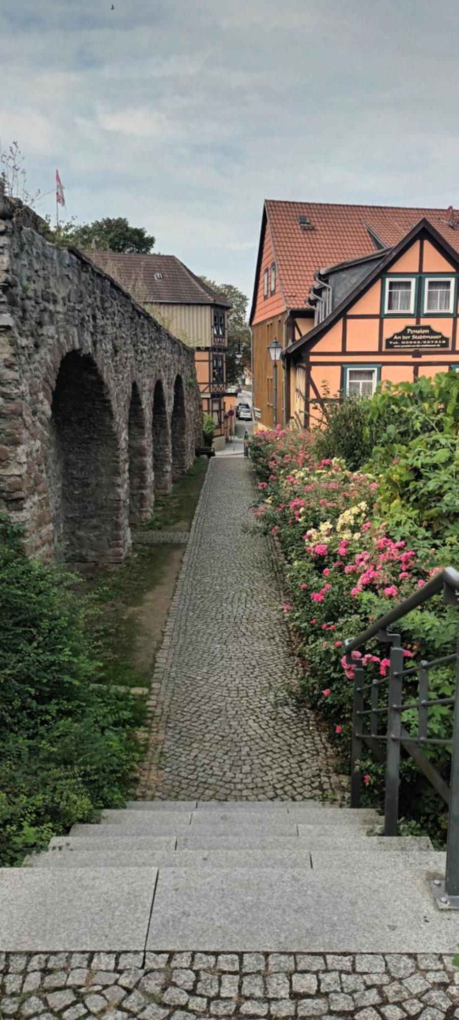 Spatzennest Wernigerode Exterior foto